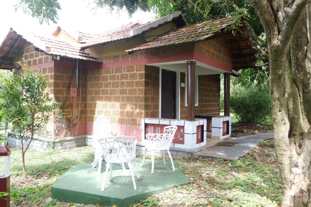 Chalets Resort Masinagudi Ooty Exterior foto