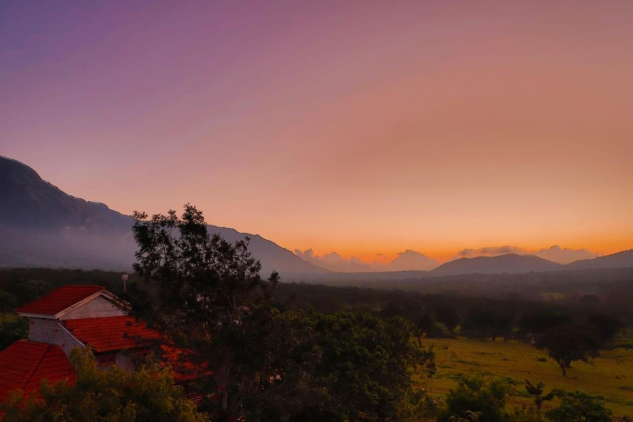 Chalets Resort Masinagudi Ooty Exterior foto