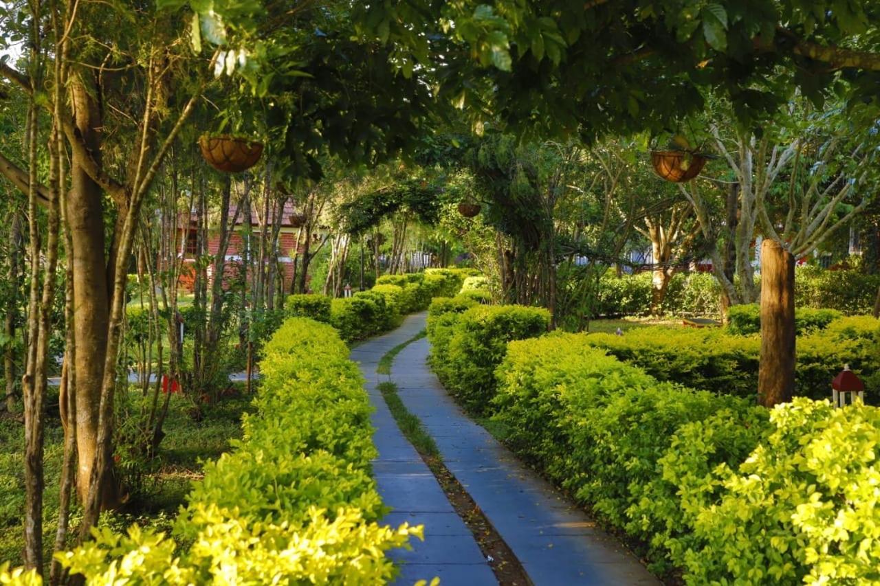 Chalets Resort Masinagudi Ooty Exterior foto