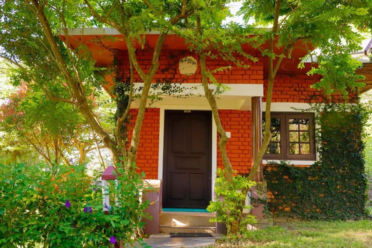 Chalets Resort Masinagudi Ooty Exterior foto