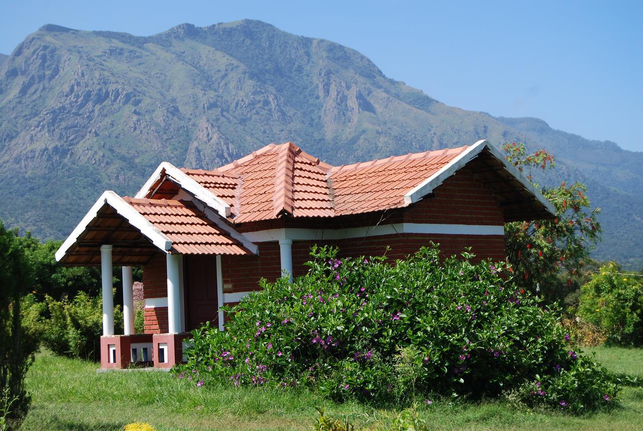 Chalets Resort Masinagudi Ooty Exterior foto